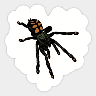 Psalmopeus Irminia Sticker